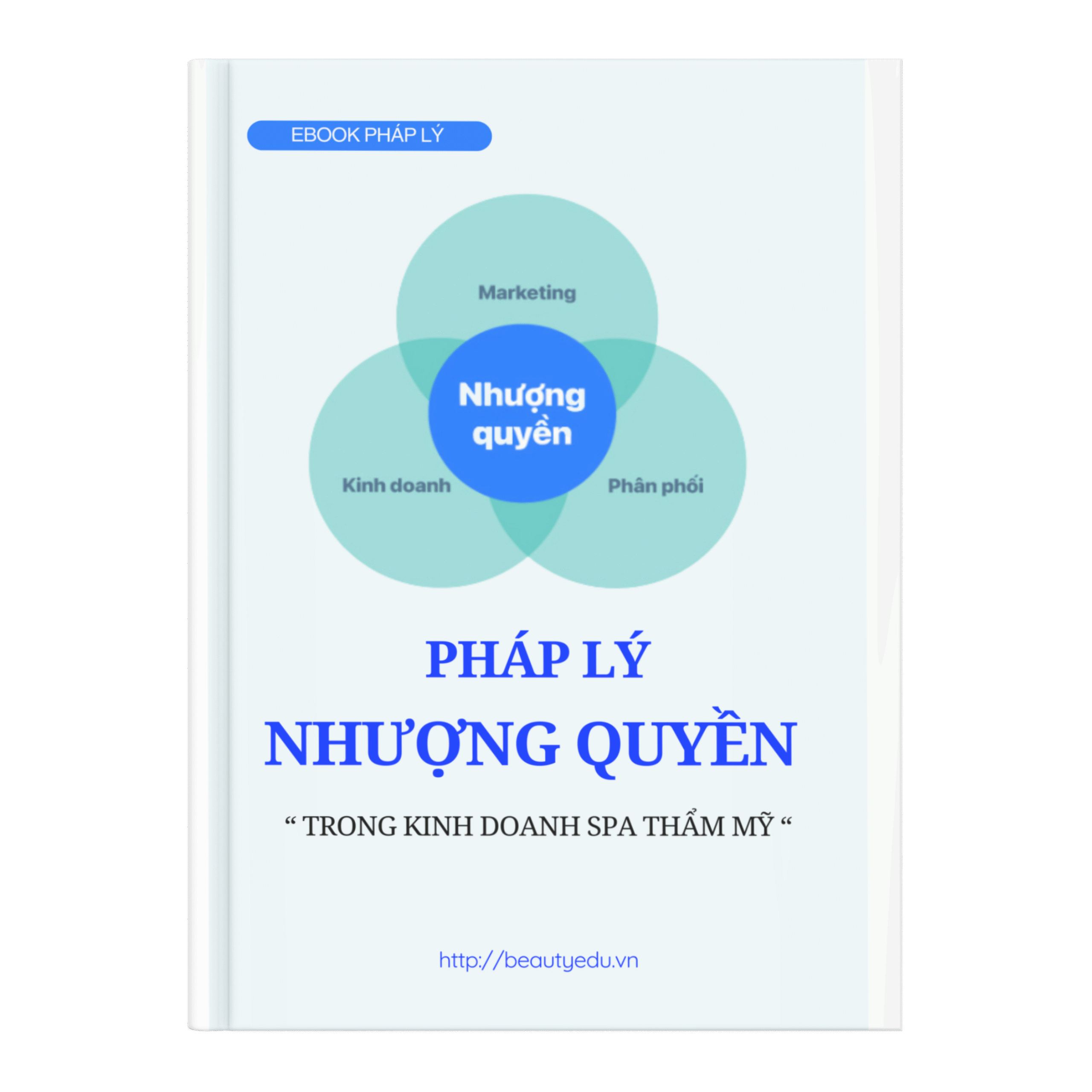 PHÁP LÝ NHƯỢNG QUYỀN THƯƠNG HIỆU KINH DOANH