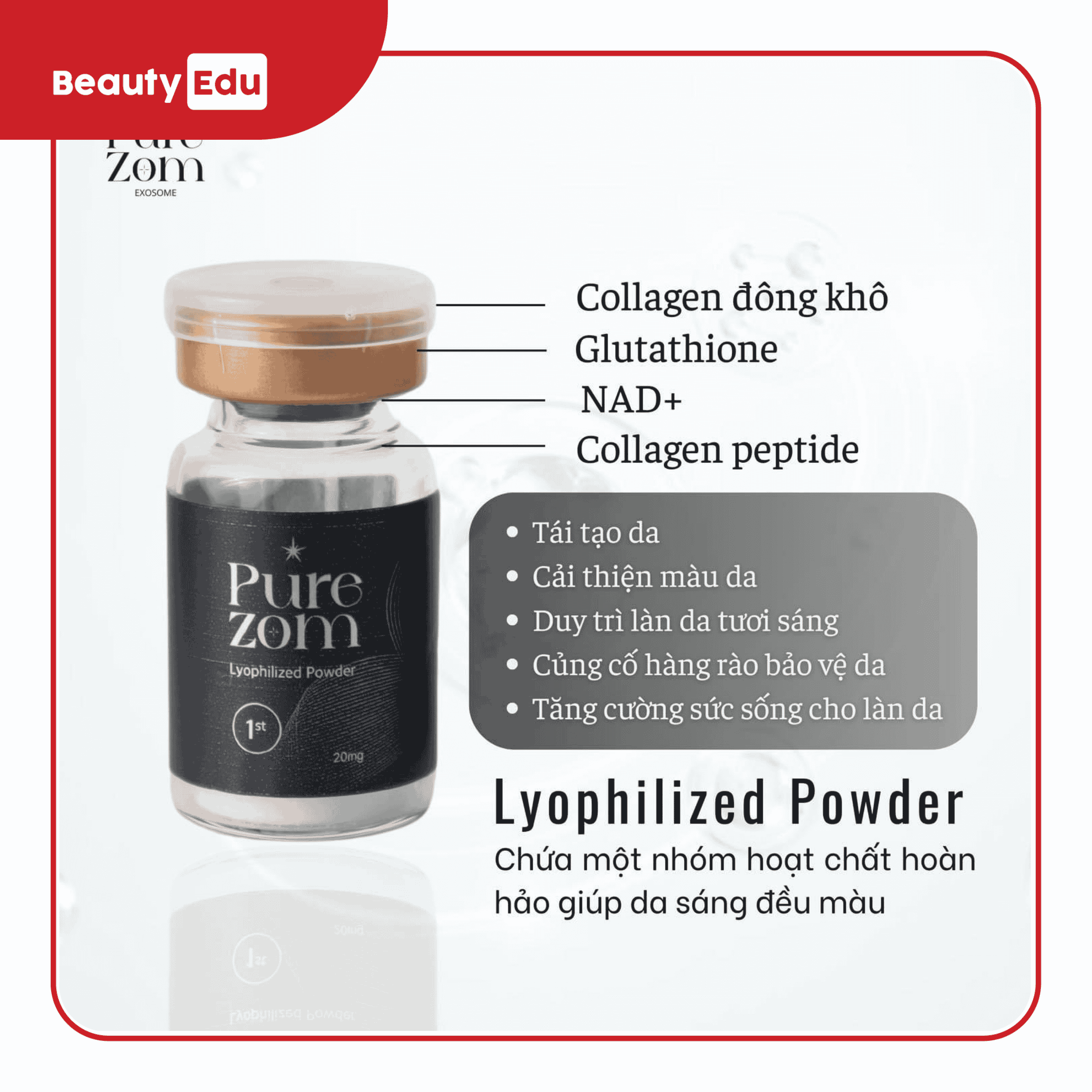 Tinh chất tiêm cấy da Exosome Purezom