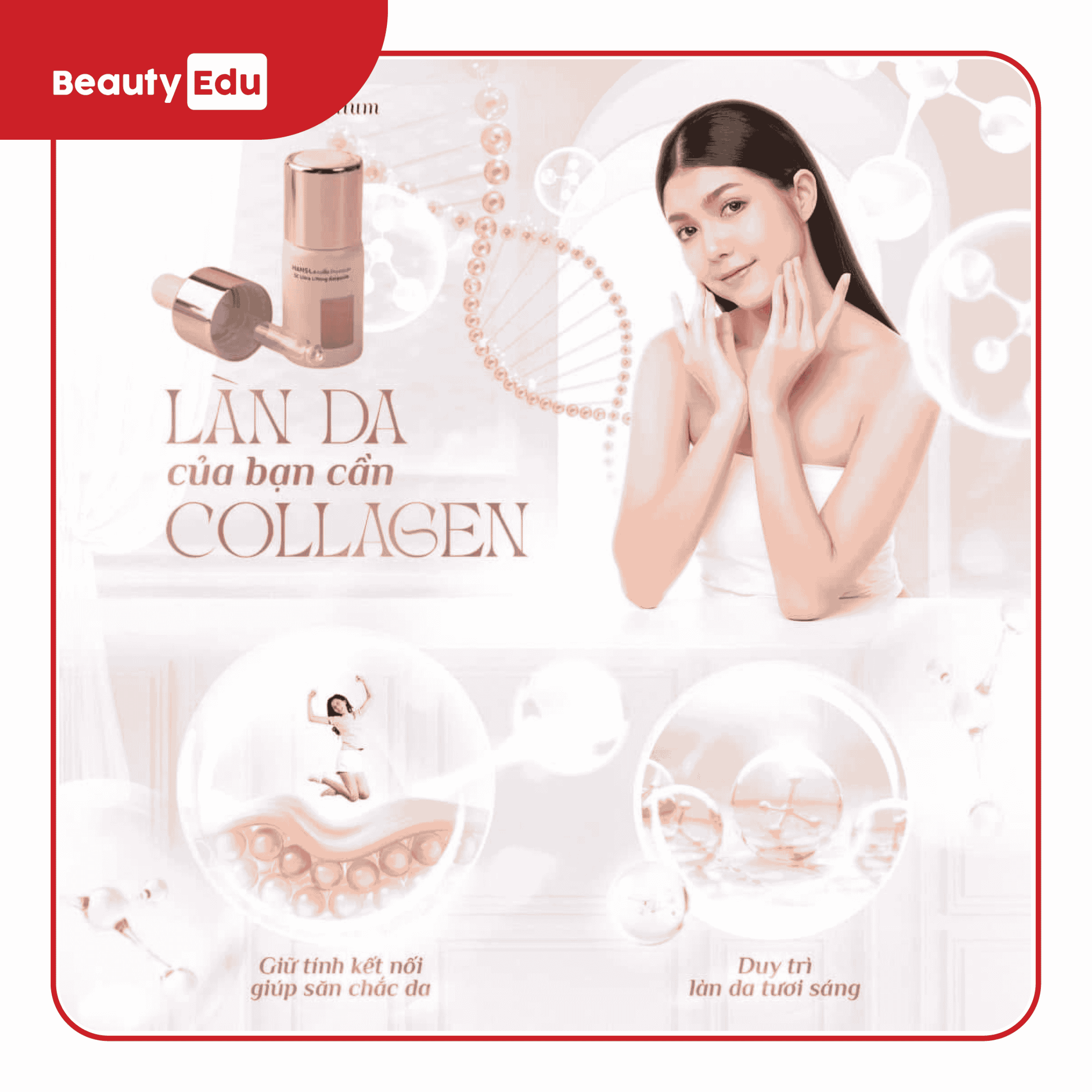 Tinh chất nâng cơ căng bóng Hanslabelle