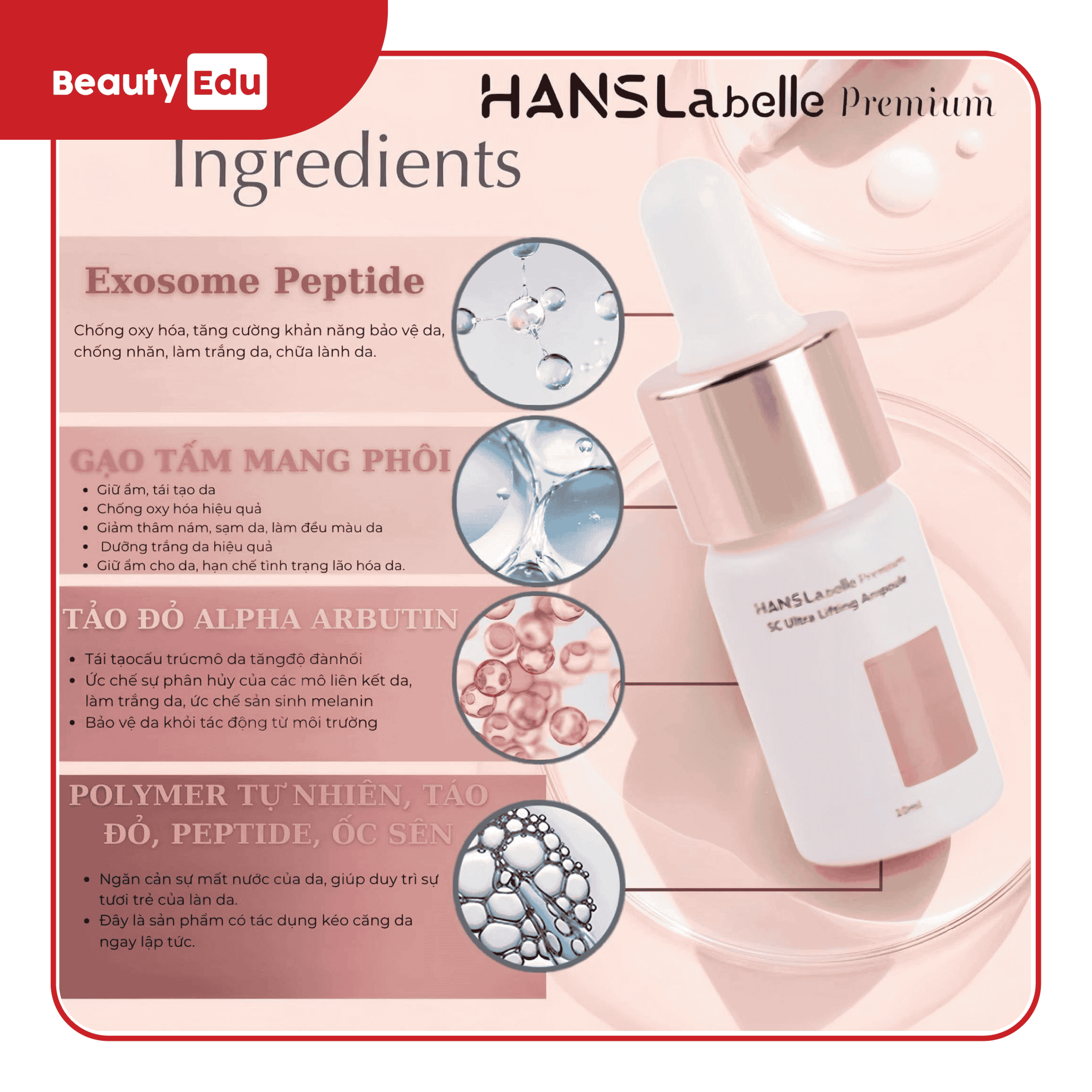 Tinh chất nâng cơ căng bóng Hanslabelle